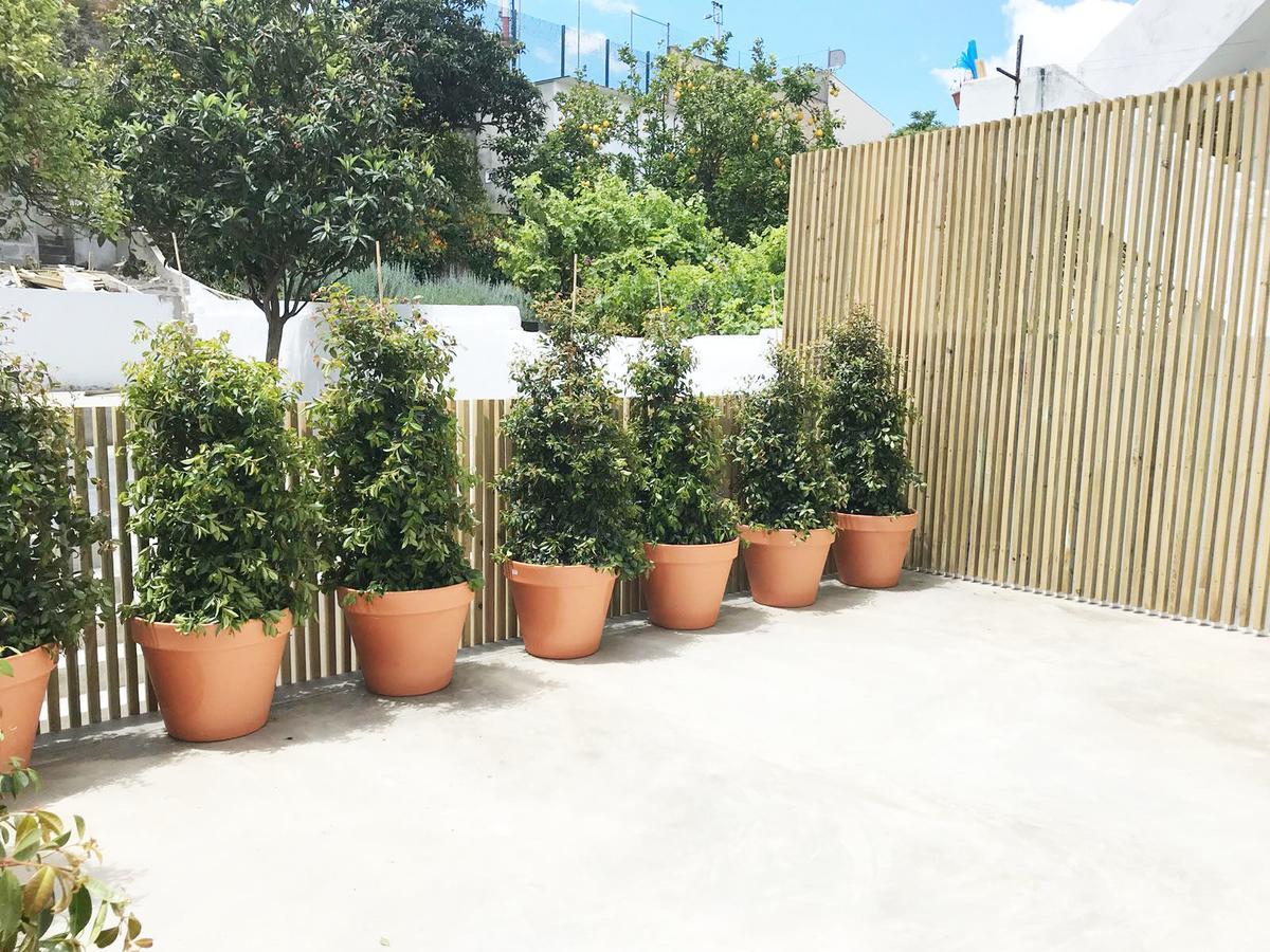 Cozy Lisbon Graca Apartman Kültér fotó