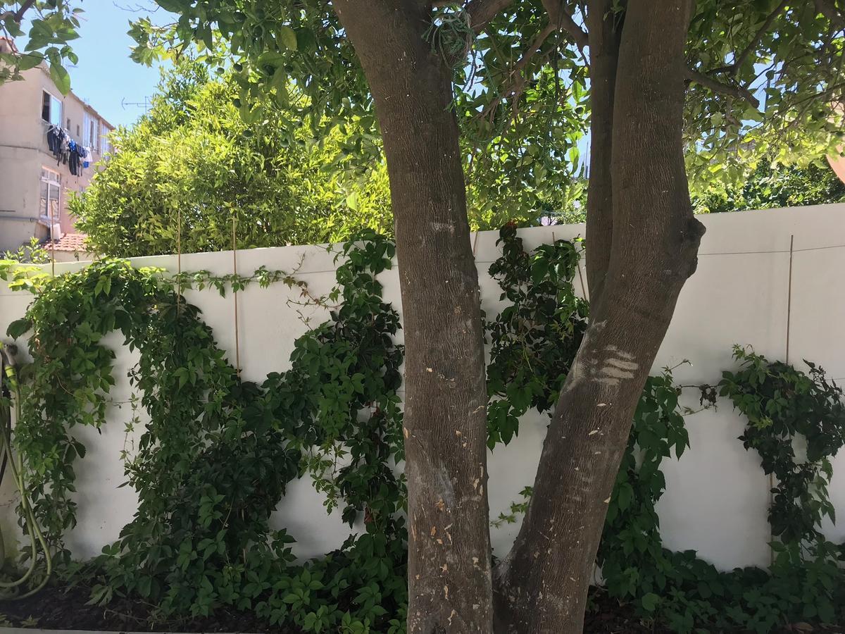 Cozy Lisbon Graca Apartman Kültér fotó